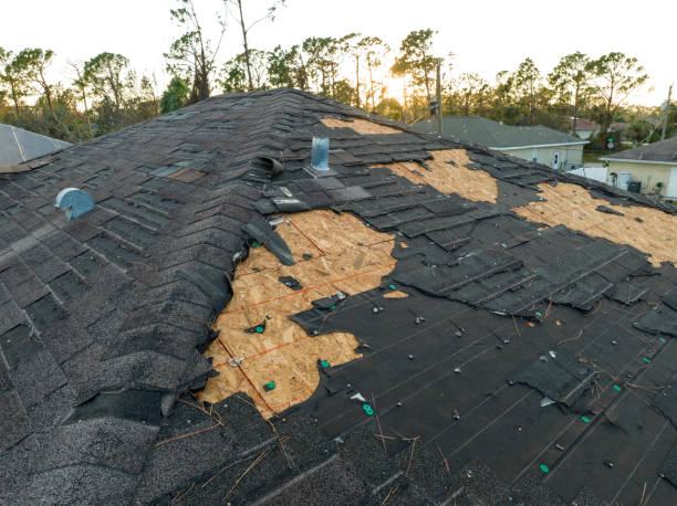 Best Cold Roofs  in Rockvale, TN